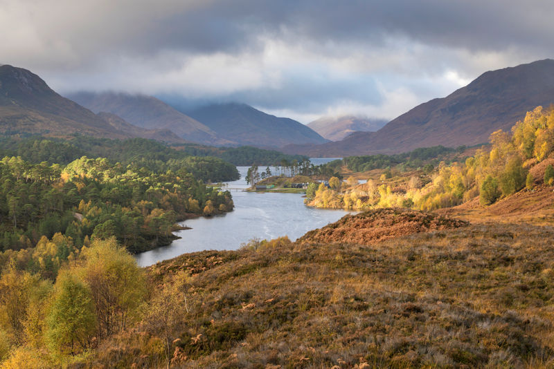 Glen Affric